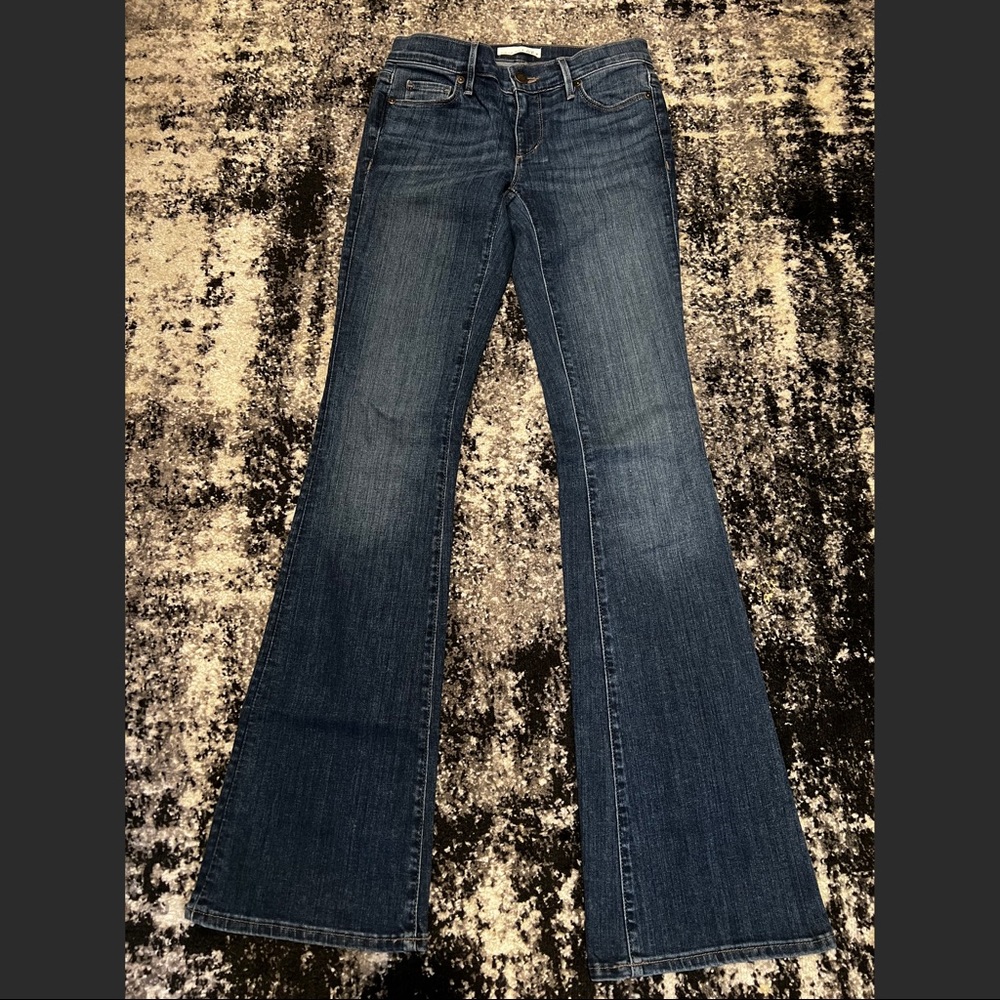 Ann Taylor LOFT Size 24 Bootcut Denim
